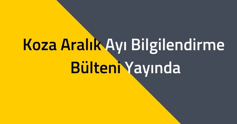 2018 Aralık Bülteni Yayında